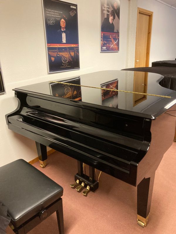 GEORGE STECK GS 187