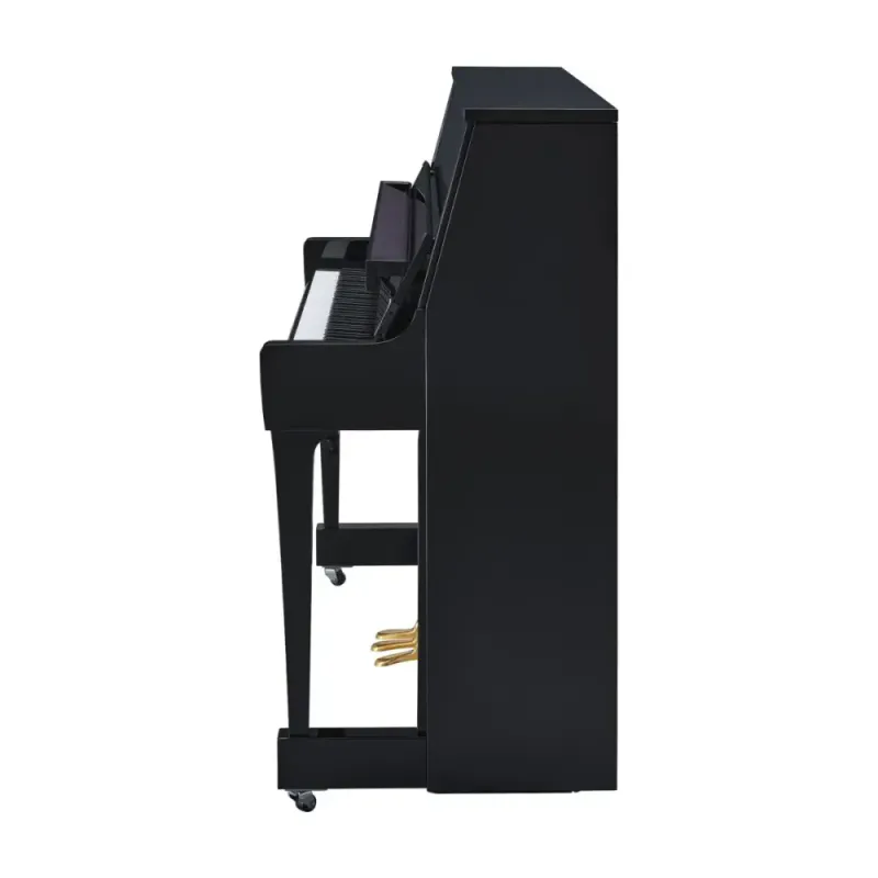 Yamaha B20SC3PE 