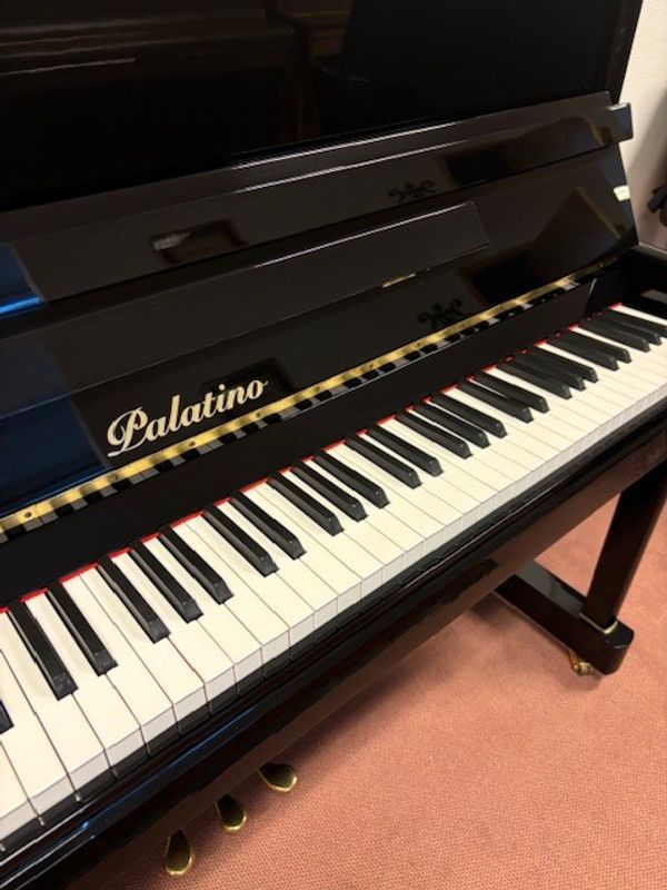 Palatino UP-123 