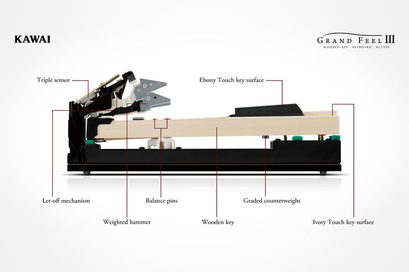 Kawai CA 701 B