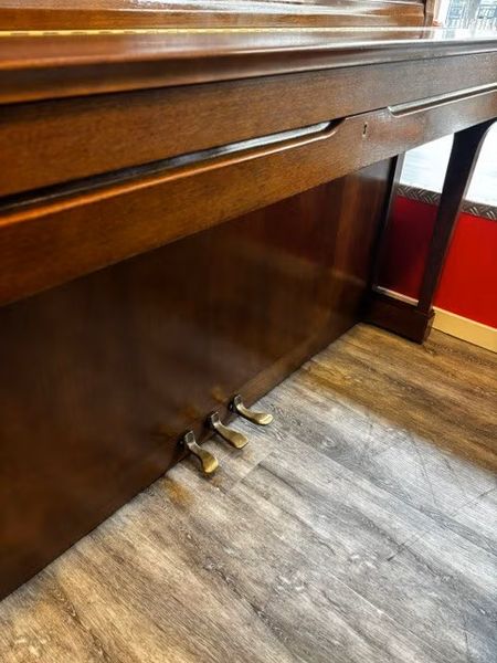 Schimmel 118T Valn&oslash;tt