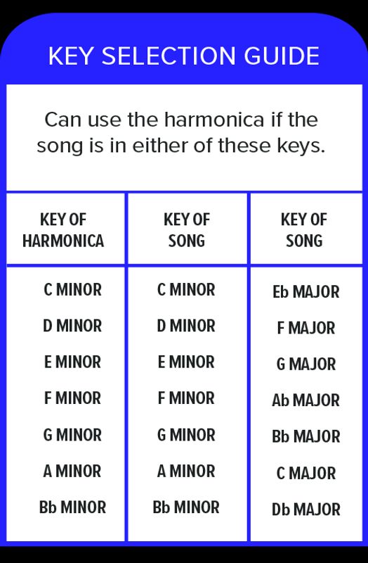 Hohner Pentaharp D minor
