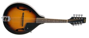 Hovedbilde Morgan Mandolin M 20 Vs