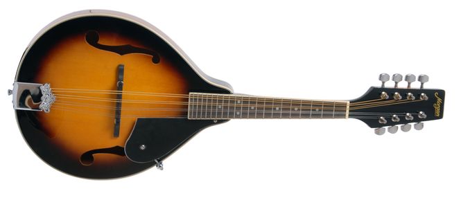 Hovedbilde Morgan Mandolin M 20 Vs