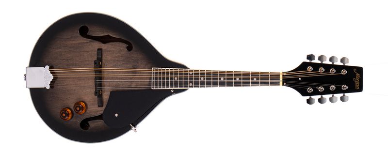 Morgan Mandolin M 20 E Tbk