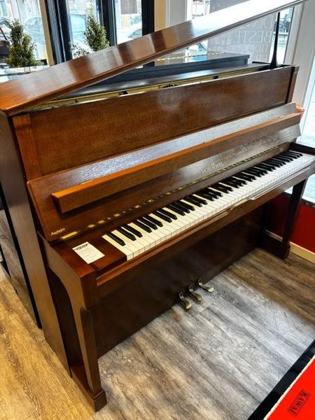 Schimmel 118T Valn&oslash;tt